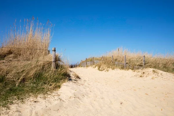 Path Dunes Cuxhaven North Sea Lower Saxony Germany Europe — Foto de Stock