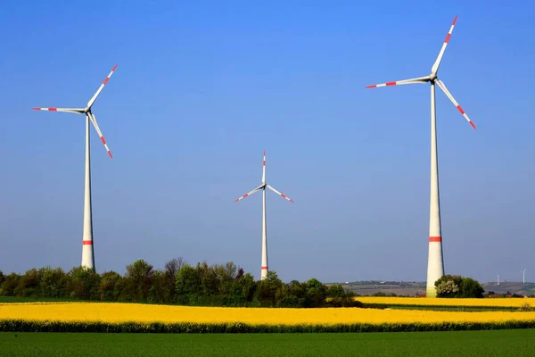 Řepkové Pole Větrné Turbíny Větrná Energie Wrrstadt Porýní Falcko Německo — Stock fotografie