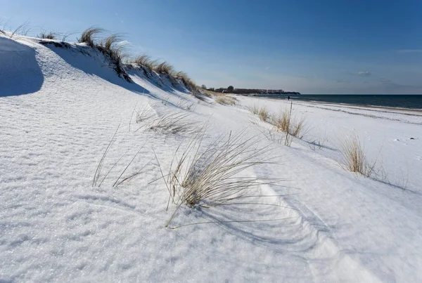 Baltic Coast Snow Covered Beach Rerik Mecklenburg Germany Europe — ストック写真