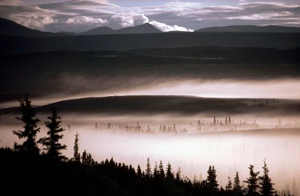 Mckinley River Morning Haze Wonder Lake Area Denali National Park — ストック写真