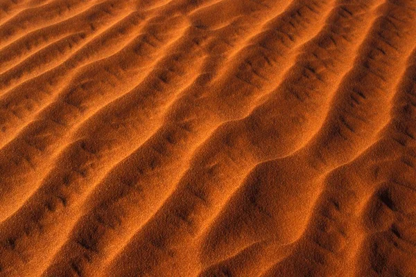 Sand Texture Close View — 스톡 사진