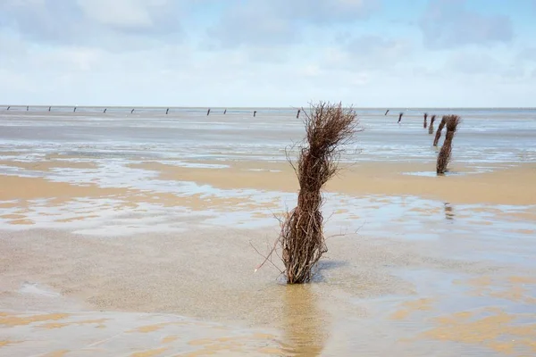 Markings Watt Lower Saxon Wadden Sea National Park Cuxhaven North —  Fotos de Stock