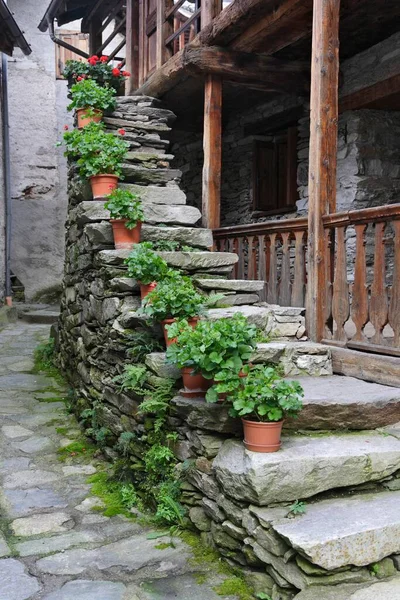 Staircase, flowers, house, outside, Rima, Piedmont, Italy, Europe