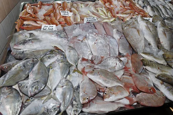 Peixes Tropicais Mercado Peixe Abu Dhabi Emirado Abu Dhabi Emirados — Fotografia de Stock