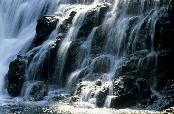 Waterfall Radovna River Vintgar Gorge Gorenjska Region Slovenia Europe — ストック写真
