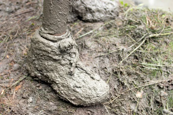Muddy shoes on the dirty ground