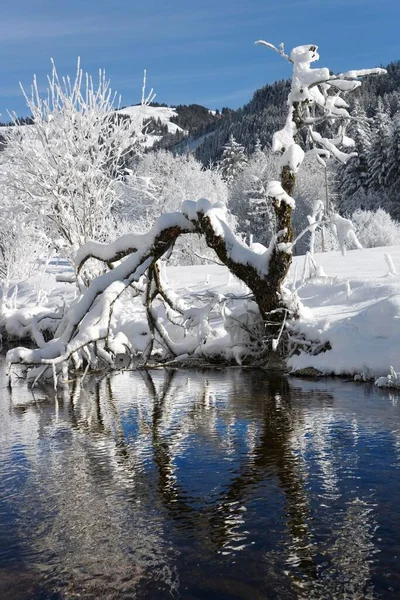 Warme Sense River Schwarzsee Pré Alpes Kaiseregg Canton Fribourg Suisse — Photo