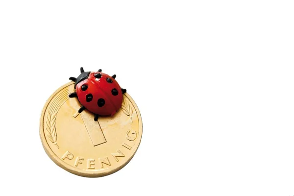 Ladybird Lucky Penny Symbolic Luck Prosperity — Fotografia de Stock