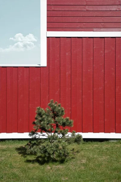 Rode Muur Van Een Deens Vakantiehuis Een Kleine Dennenboom Aan — Stockfoto