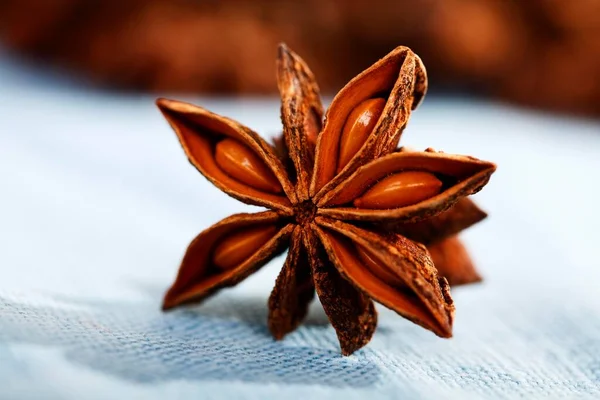 Anise Star Close View — 图库照片