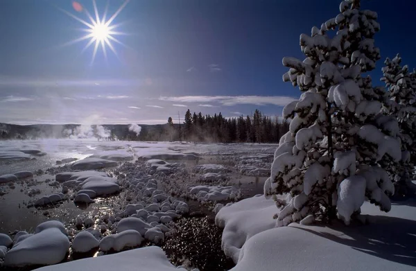 Winter Landscape Yellowstone National Park Wyoming Usa North America — ストック写真