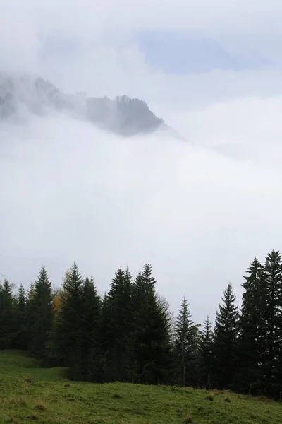 Туман Рігі Люцерн Швейцарія Європа — стокове фото