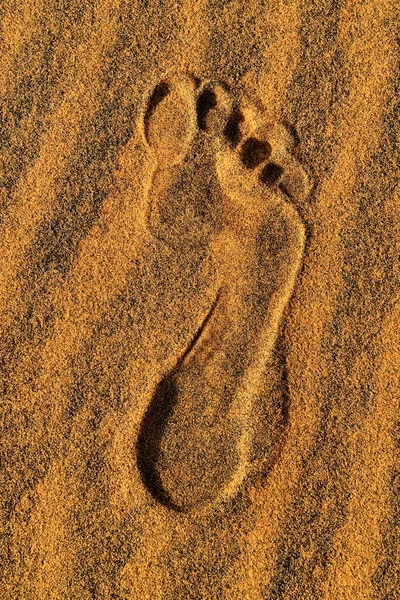 Human footprint in sand, Tassili n\'Ajjer National Park, UNESCO World Heritage Site, Sahara desert, Algeria, Africa