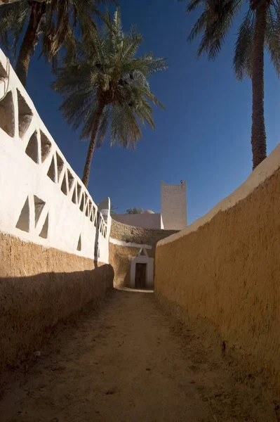 Jardín Palmeras Ghadames Ghadamis Libia Patrimonio Humanidad Unesco África —  Fotos de Stock