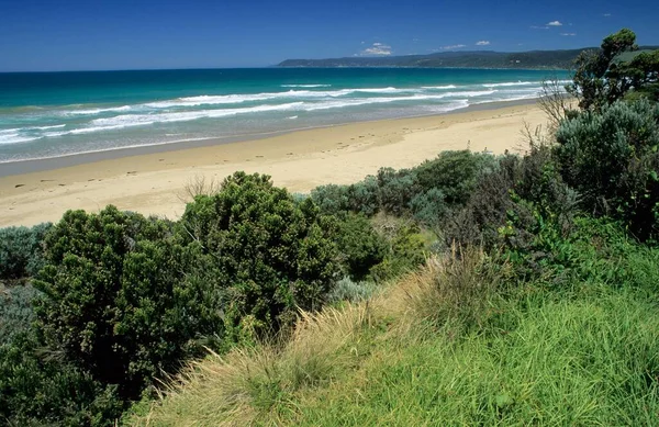 Пляж Большой Океанской Дороге Виктория Австралия Океания — стоковое фото