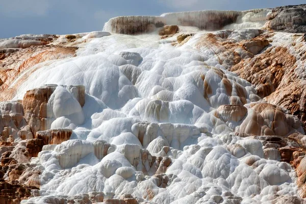 Travertine Terraces Hot Springs Mineral Deposits Canary Spring Main Terrace — Zdjęcie stockowe