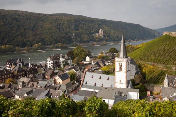 Assmannshausen Rajna Völgy Rdesheim Rhein Felső Rajna Völgy Hesse Németország — Stock Fotó