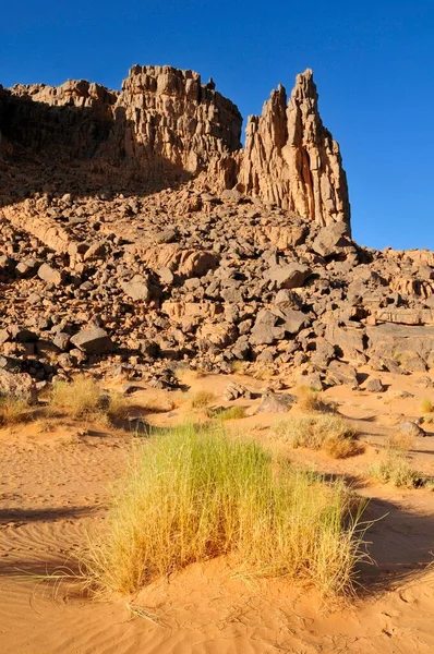 Zandsteen Rotsformatie Tasset Plateau Tassili Ajjer National Park Unesco World — Stockfoto