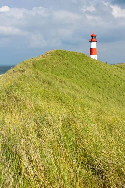 Lighthouse List Ost Sylt Peninsula Ellenbogen Sylt North Frisia Schleswig — Stock Photo, Image