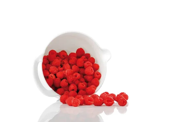 Raspberries White Background Close View — Foto Stock