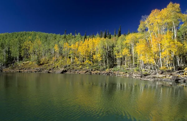 Queda Floresta Colorida Lago Montanha Wasatch Range — Fotografia de Stock