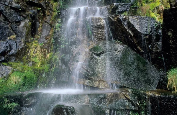 Small Waterfall Cascade Range Washington State Usa North America — 스톡 사진