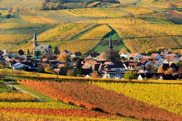 Vineyards Autumn Birkweiler Sdliche Weinstrae Palatinate Forest Rhineland Palatinate Germany — Stockfoto