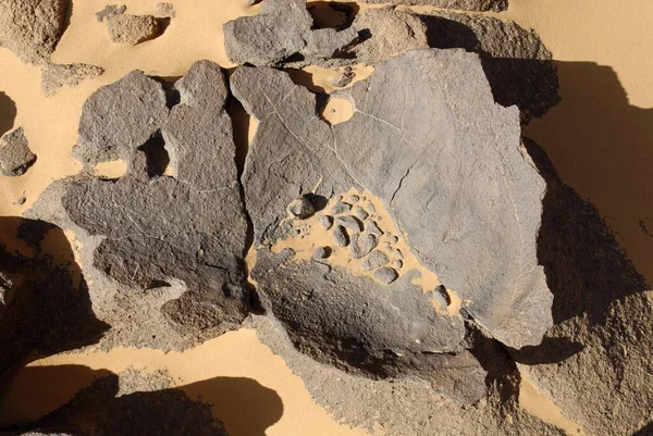 Manganese Crust Sandstone Geology Tassili Hoggar Wilaya Tamanrasset Algeria Sahara — Stock Photo, Image