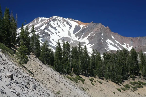 Den Vulkanischen Hängen Des Mount Shasta Kalifornien Usa Nordamerika — Stockfoto