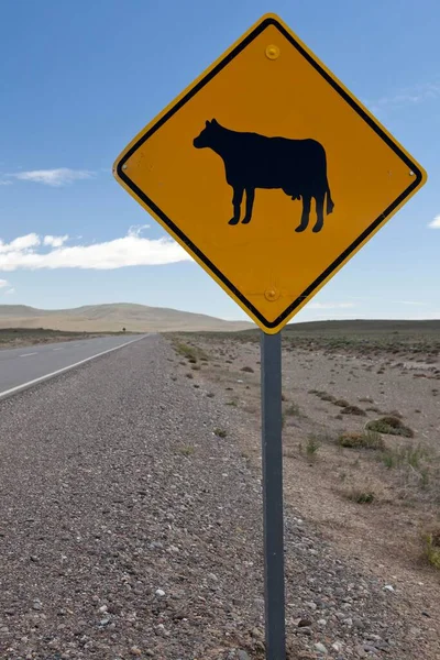Caution Cattle Argentine Road Sign Perito Moreno Patagonia Argentina South — Stockfoto