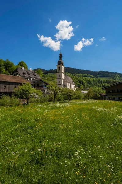 Parish Church Sebastian Flower Meadow Ramsau Berchtesgadener Land Upper Bavaria — Stockfoto