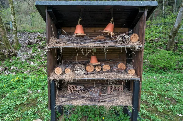 Insect House Bavaria Germany Europe — Foto Stock