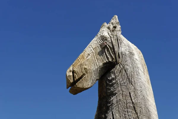 Horse Head Horse Totem Fetish Saljugem Sailughem Saylyugem Mountains Altai — 스톡 사진