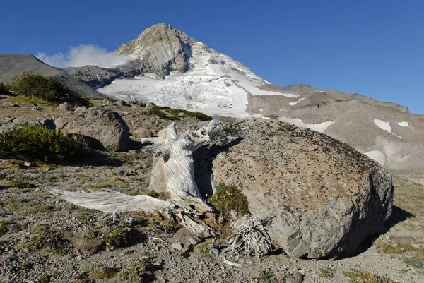 Boulder Eastern Side Mount Hood Volcano Cascade Range Oregon Usa — Stok fotoğraf