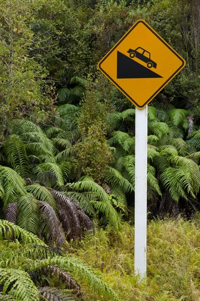 Traffic Sign Steep Hill Kahurangi National Park Kohaihai West Coast — Φωτογραφία Αρχείου