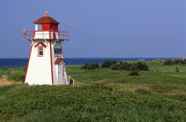 Cove Head Lighthouse Prince Edward Island National Park Prince Edward — Foto Stock