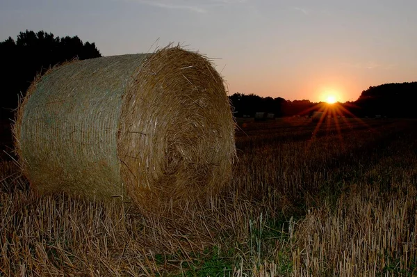 Bale Straw Stubble Field North Rhine Westphalia Germany Europe — 스톡 사진