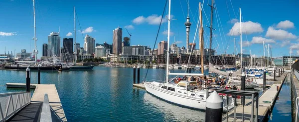 Marina Skyline Skytower Auckland North Island New Zealand Oceania — Stockfoto