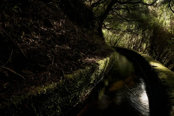 Levada Water Channel Rainforest Rabacal Nature Reserve Madeira Portugal Europe — Foto Stock