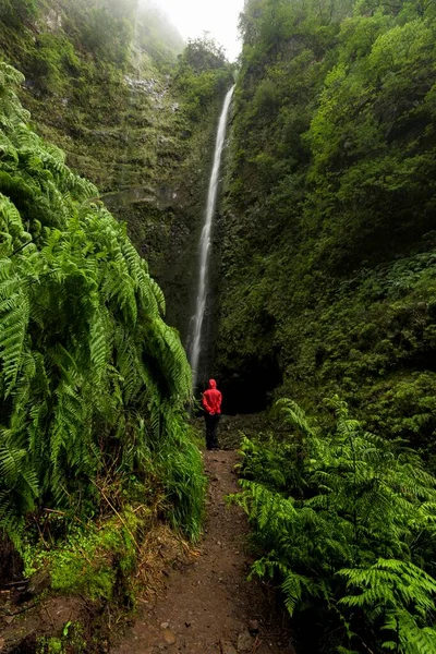 Waterfall Rainforest Fog Hikers Green Kettle Caldeirao Verde Queimadas Madeira — Foto de Stock