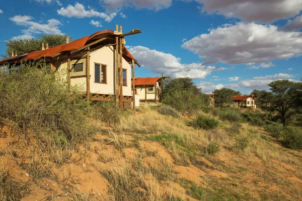 Stilt canvas tents of the Kalahari Tented Camp at ridge of sand dune, rainy season, Kalahari Desert, Kgalagadi Transfrontier Park, Botswana, Africa