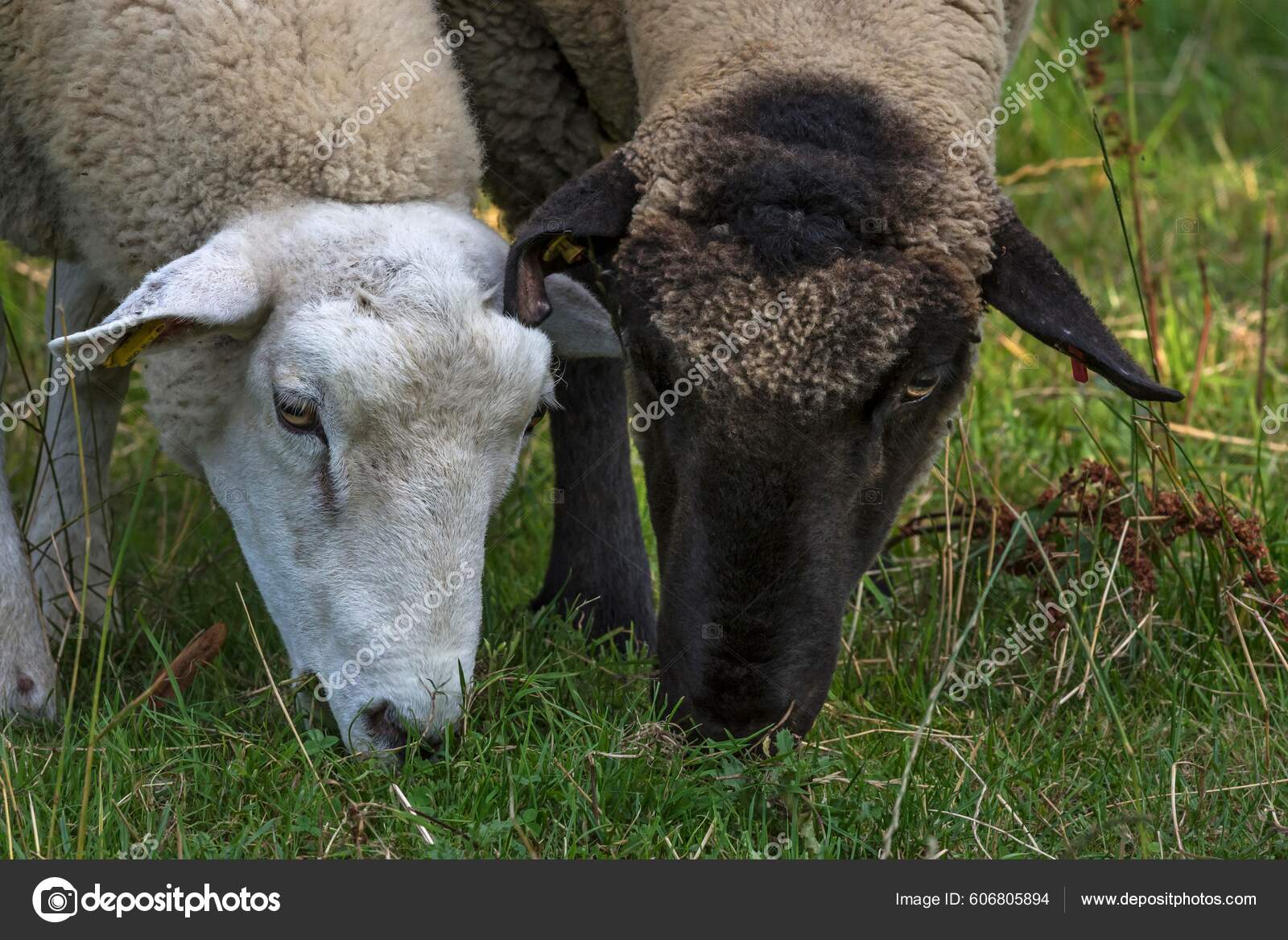 SLACK! Deux-Caps Art Festival, Pas-de-Calais, France 20 June – 20 September  2015 | AAJ Press, image size:1600x1167