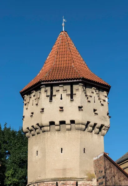 Coopers Carpenters Tower Turnul Dulgherilor Sibiu Rumania Europa — Foto de Stock
