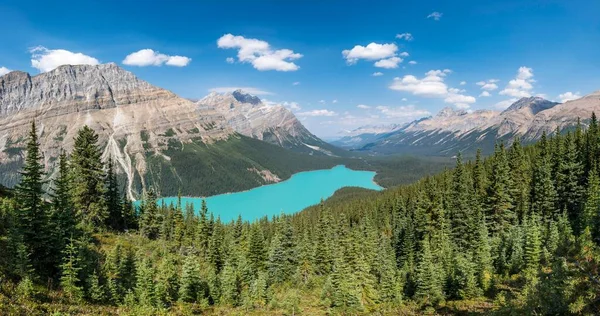 Λίμνη Peyto Εθνικό Πάρκο Banff Καναδικά Βραχώδη Όρη Αλμπέρτα Καναδάς — Φωτογραφία Αρχείου