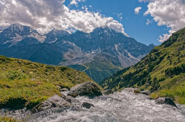 Ortlermassiv Almwiese Sulden South Tyrol Italy Europe前面的山溪 — 图库照片