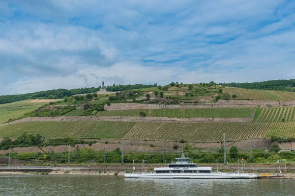 Vinhedos Com Monumento Niederwald Vale Reno Médio Rdesheim Distrito Rheingau — Fotografia de Stock