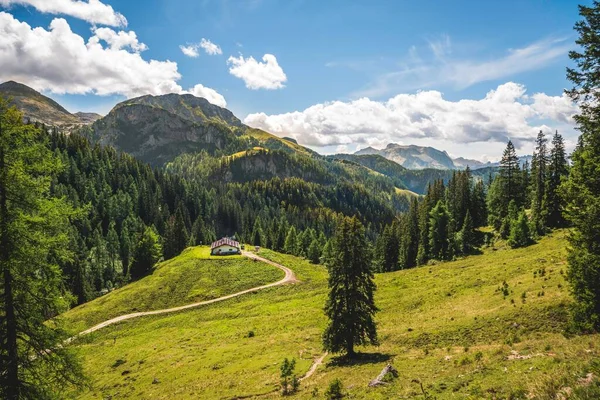 Pâturage Alpin Cabane Knigsberg Alm Sentier Randonnée Vers Jenner Parc — Photo