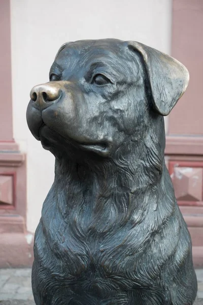 Der Rottweiler Figura Psa Pomnik Psa Rottweil Badenia Wirtembergia Niemcy — Zdjęcie stockowe