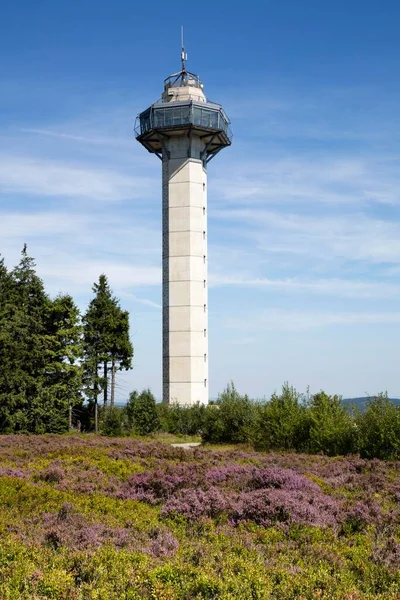 Hochheideturm Tour Observation Sur Ettelsberg Willingen Rothaargebirge Sauerland Hesse Allemagne — Photo