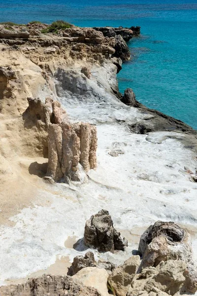 Bosque Petrificado Cavomalias Cabo Malea Laconia Peloponeso Grecia Europa —  Fotos de Stock